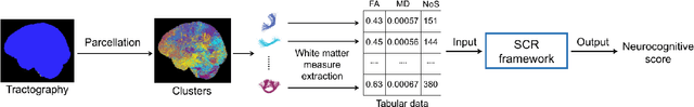 Figure 1 for A Novel Supervised Contrastive Regression Framework for Prediction of Neurocognitive Measures Using Multi-Site Harmonized Diffusion MRI Tractography