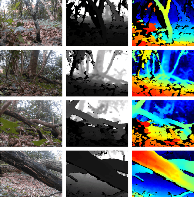 Figure 3 for Low-viewpoint forest depth dataset for sparse rover swarms
