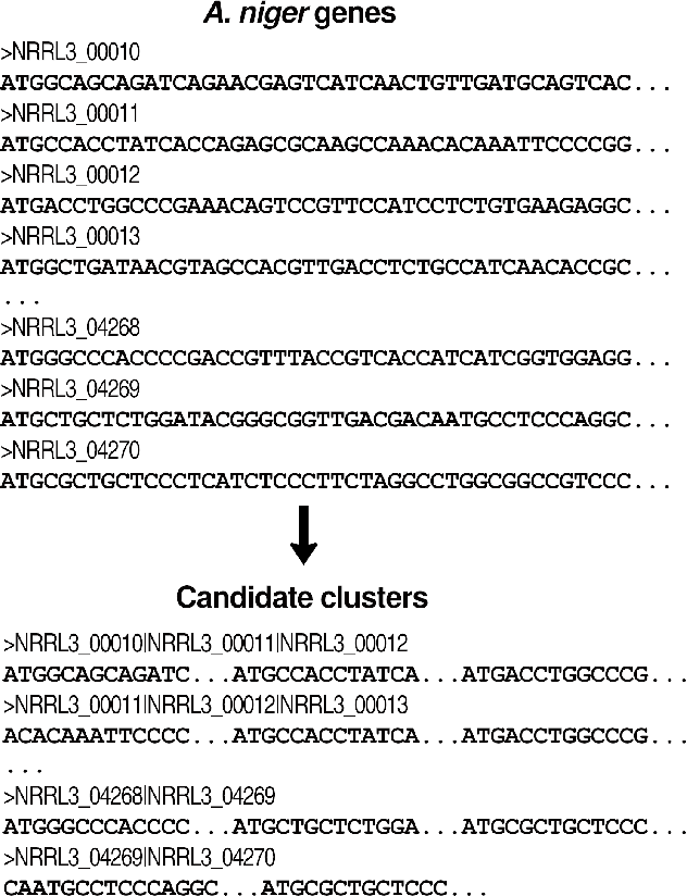 Figure 1 for Supporting supervised learning in fungal Biosynthetic Gene Cluster discovery: new benchmark datasets