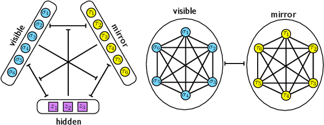 Figure 1 for Neural networks with redundant representation: detecting the undetectable