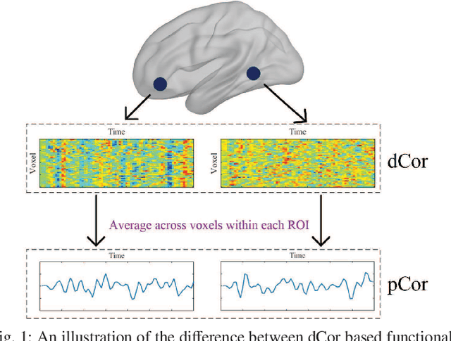 Figure 1 for Distance Correlation Based Brain Functional Connectivity Estimation and Non-Convex Multi-Task Learning for Developmental fMRI Studies
