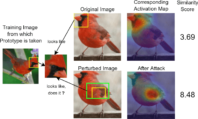 Figure 1 for This Looks Like That... Does it? Shortcomings of Latent Space Prototype Interpretability in Deep Networks