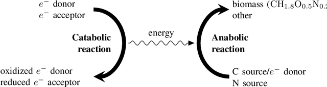 Figure 1 for Inferring Microbial Biomass Yield and Cell Weight using Probabilistic Macrochemical Modeling