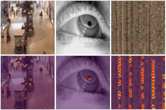 Figure 1 for Weighted Hausdorff Distance: A Loss Function For Object Localization