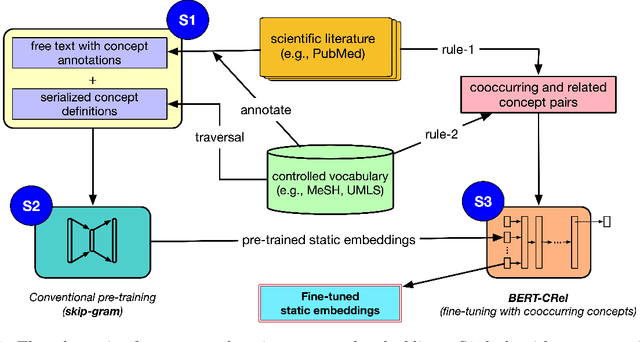 Figure 1 for Improved Biomedical Word Embeddings in the Transformer Era