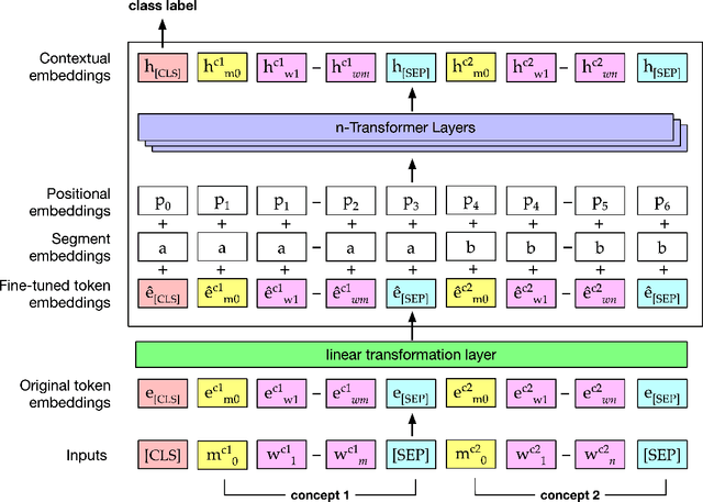 Figure 3 for Improved Biomedical Word Embeddings in the Transformer Era