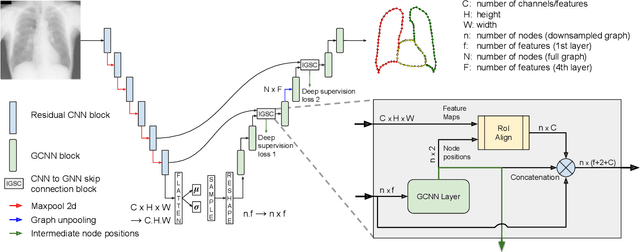 Figure 1 for Improving anatomical plausibility in medical image segmentation via hybrid graph neural networks: applications to chest x-ray analysis