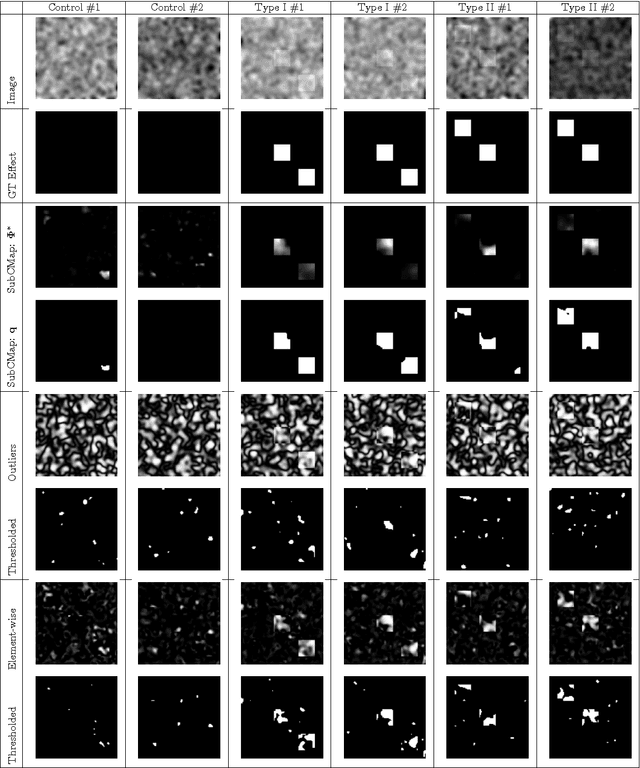 Figure 4 for Reconstructing Subject-Specific Effect Maps