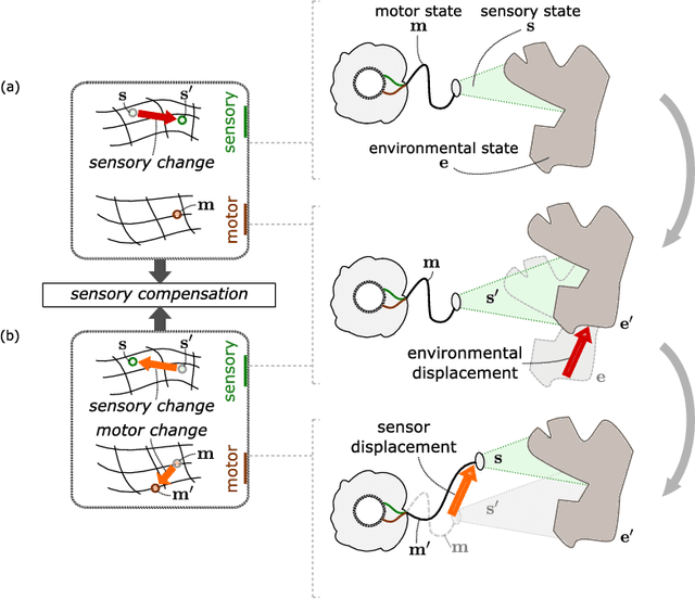 Figure 3 for Discovering space - Grounding spatial topology and metric regularity in a naive agent's sensorimotor experience