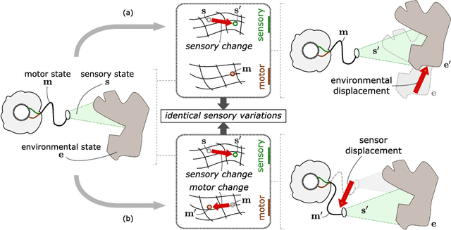 Figure 2 for Discovering space - Grounding spatial topology and metric regularity in a naive agent's sensorimotor experience