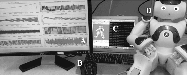 Figure 1 for Simultaneous Control and Human Feedback in the Training of a Robotic Agent with Actor-Critic Reinforcement Learning