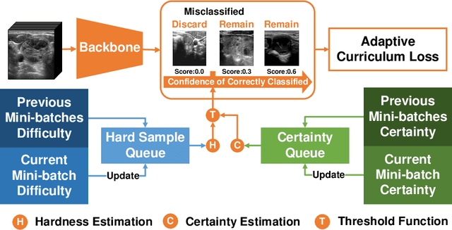 Figure 1 for Less is More: Adaptive Curriculum Learning for Thyroid Nodule Diagnosis