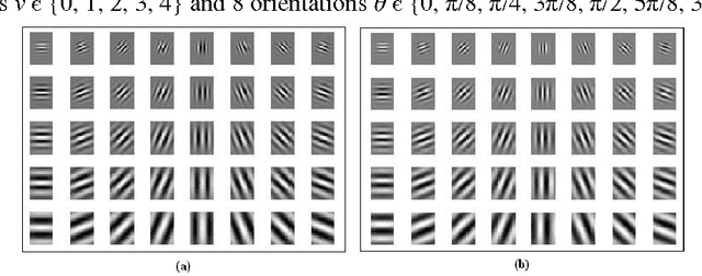 Figure 1 for Automatic Detection of Texture Defects Using Texture-Periodicity and Gabor Wavelets