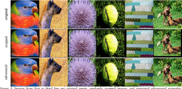 Figure 4 for Adversarial example generation with AdaBelief Optimizer and Crop Invariance