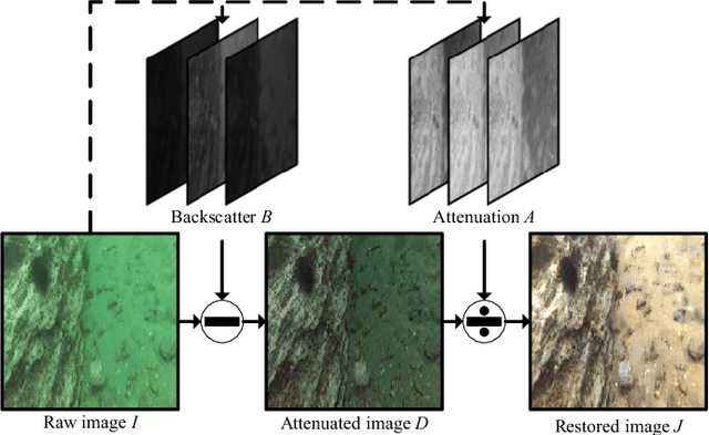 Figure 1 for HybrUR: A Hybrid Physical-Neural Solution for Unsupervised Underwater Image Restoration