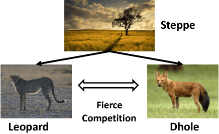 Figure 3 for Multi-Entity Dependence Learning with Rich Context via Conditional Variational Auto-encoder