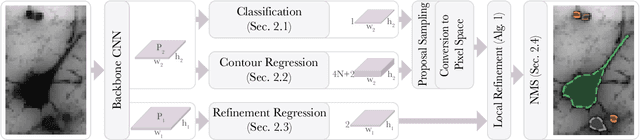 Figure 1 for Contour Proposal Networks for Biomedical Instance Segmentation