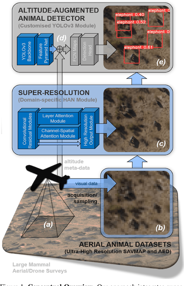Figure 1 for Small or Far Away? Exploiting Deep Super-Resolution and Altitude Data for Aerial Animal Surveillance