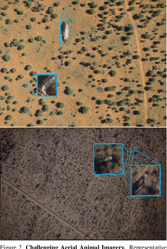 Figure 3 for Small or Far Away? Exploiting Deep Super-Resolution and Altitude Data for Aerial Animal Surveillance