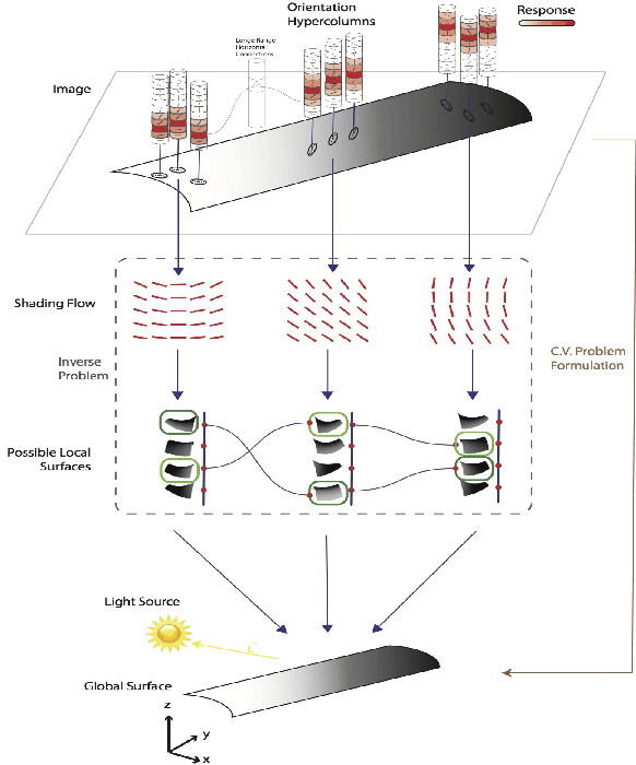 Figure 4 for Characterizing Ambiguity in Light Source Invariant Shape from Shading