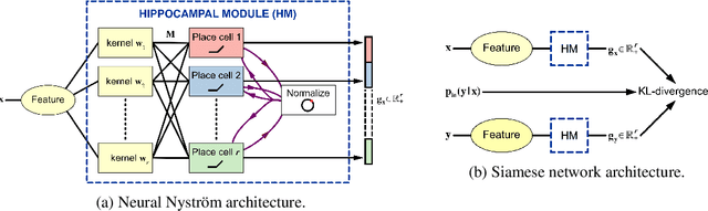 Figure 1 for Do place cells dream of conditional probabilities? Learning Neural Nyström representations