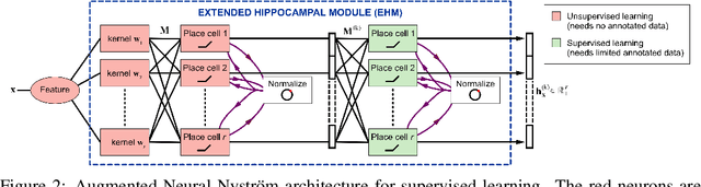 Figure 3 for Do place cells dream of conditional probabilities? Learning Neural Nyström representations