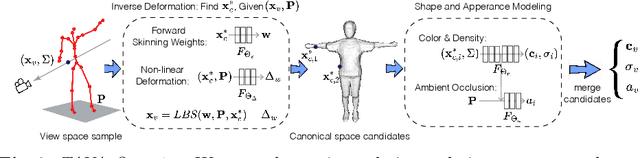 Figure 3 for TAVA: Template-free Animatable Volumetric Actors