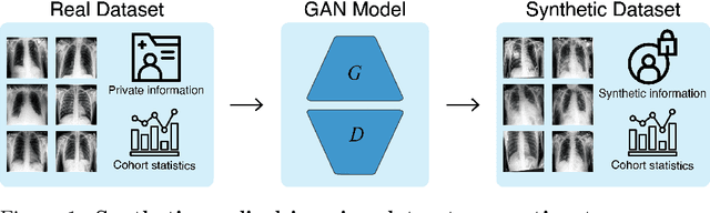 Figure 1 for Overcoming Barriers to Data Sharing with Medical Image Generation: A Comprehensive Evaluation