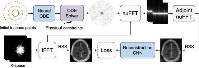 Figure 1 for Learning Optimal K-space Acquisition and Reconstruction using Physics-Informed Neural Networks