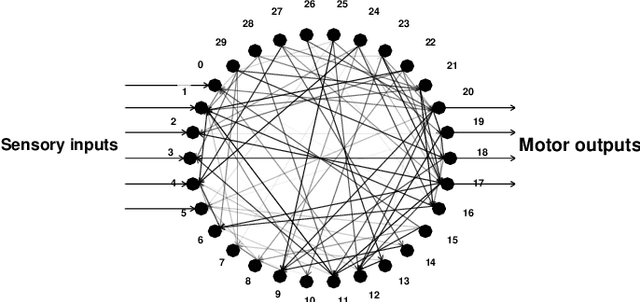 Figure 3 for A multi-agent evolutionary robotics framework to train spiking neural networks