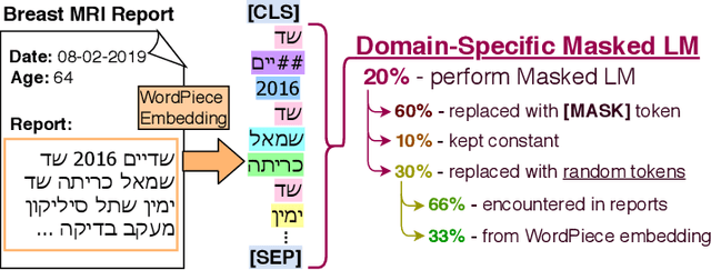 Figure 4 for Labeling of Multilingual Breast MRI Reports