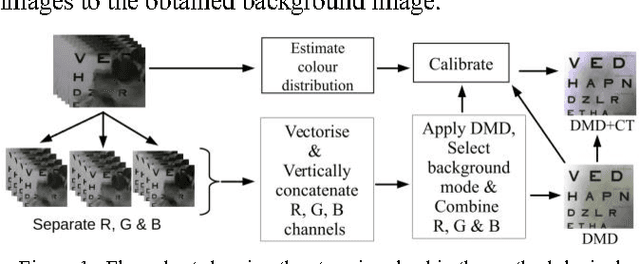 Figure 2 for Can DMD obtain a Scene Background in Color?
