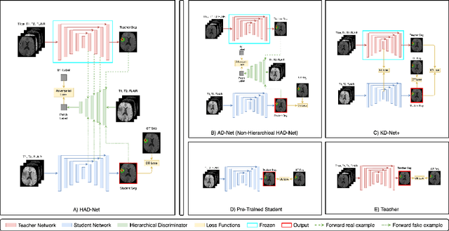 Figure 1 for HAD-Net: A Hierarchical Adversarial Knowledge Distillation Network for Improved Enhanced Tumour Segmentation Without Post-Contrast Images