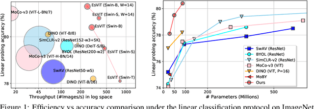 Figure 1 for Efficient Self-supervised Vision Transformers for Representation Learning