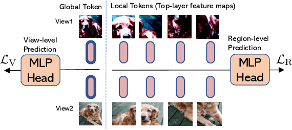 Figure 4 for Efficient Self-supervised Vision Transformers for Representation Learning