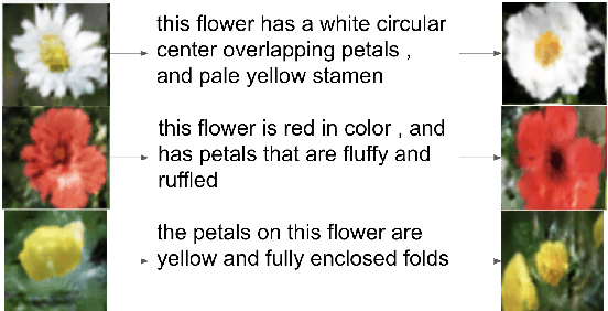 Figure 1 for Synthesizing Novel Pairs of Image and Text