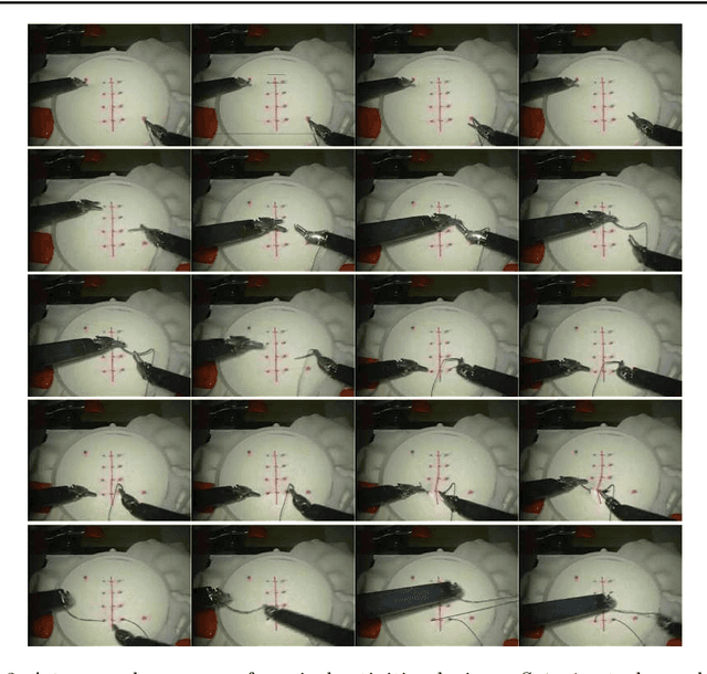 Figure 3 for Joint Surgical Gesture and Task Classification with Multi-Task and Multimodal Learning