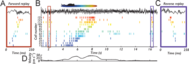 Figure 1 for Learning offline: memory replay in biological and artificial reinforcement learning