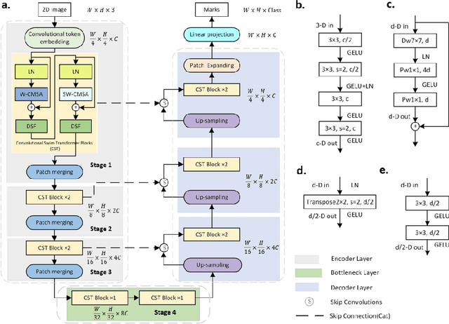 Figure 1 for Optimizing Vision Transformers for Medical Image Segmentation and Few-Shot Domain Adaptation