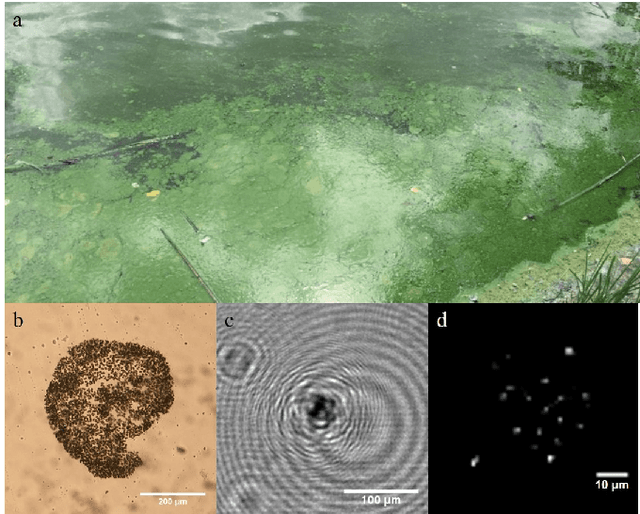 Figure 1 for Design and Experiments with a Robot-Driven Underwater Holographic Microscope for Low-Cost In Situ Particle Measurements