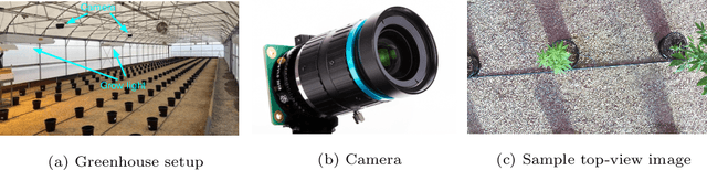 Figure 1 for Self-Supervised Leaf Segmentation under Complex Lighting Conditions