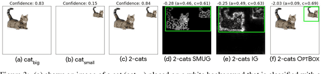 Figure 4 for Scaling Symbolic Methods using Gradients for Neural Model Explanation