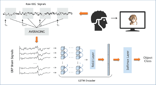 Figure 1 for An Evoked Potential-Guided Deep Learning Brain Representation For Visual Classification