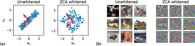 Figure 1 for Whitening and second order optimization both destroy information about the dataset, and can make generalization impossible