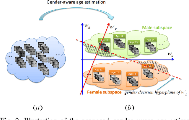 Figure 2 for A Unified Gender-Aware Age Estimation