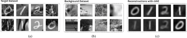 Figure 1 for Contrastive Variational Autoencoder Enhances Salient Features