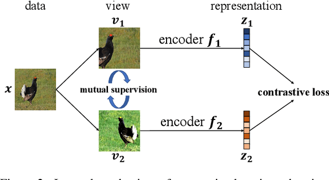 Figure 3 for Rethinking Minimal Sufficient Representation in Contrastive Learning