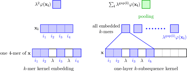 Figure 1 for Recurrent Kernel Networks