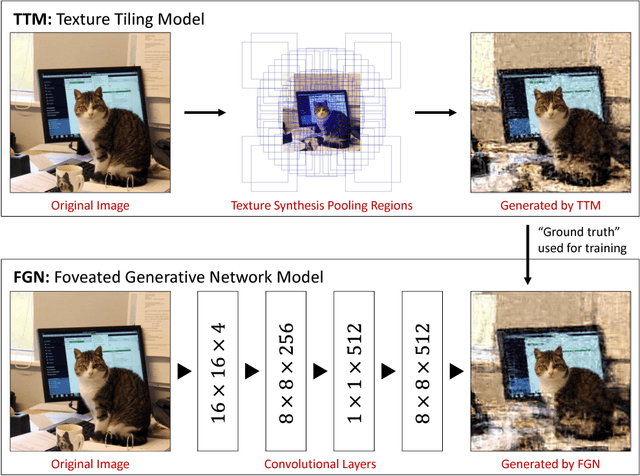 Figure 4 for SideEye: A Generative Neural Network Based Simulator of Human Peripheral Vision