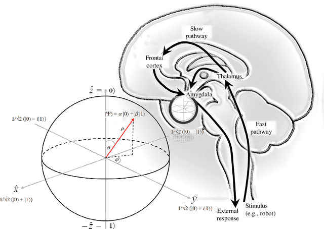Figure 3 for Robot Affect: the Amygdala as Bloch Sphere